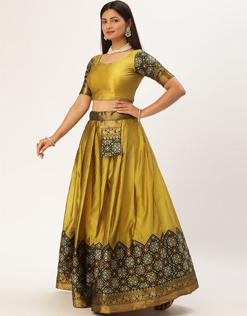 Multi Tafeta Silk Lehenga Choli Back View
