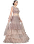 Designer Party Wear Nylon Net Lehenga Choli Collection Dusty Pink Nylon Net Lehenga Choli Back View