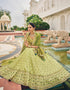 Traditional Party Wear Viscose Lehenga Choli Collection Pista Viscose Lehenga Choli Back View