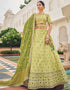 Traditional Party Wear Viscose Lehenga Choli Collection Pista Viscose Lehenga Choli Front View