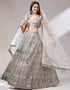 Designer Wedding Party Wear Heavy Lehenga Choli Collection Beige Net Lehenga Choli Close-up View