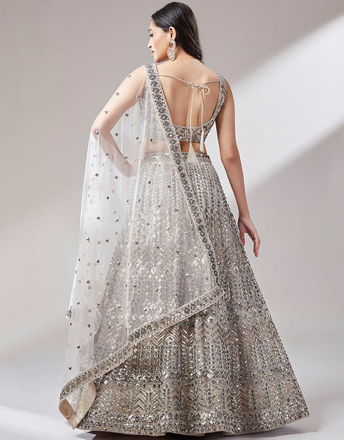 Designer Wedding Party Wear Heavy Lehenga Choli Collection Beige Net Lehenga Choli Front View