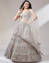 Designer Wedding Party Wear Heavy Lehenga Choli Collection Beige Net Lehenga Choli Front View