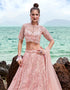 Designer Wedding Party Wear Heavy Lehenga Choli Collection Light Pink Net Lehenga Choli Back View