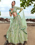 Designer Wedding Party Wear Heavy Lehenga Choli Collection Lime Green Net Lehenga Choli Back View