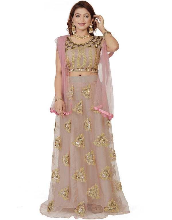 Function Wear Heavy Designer Fancy Lehenga Choli Brown Nylon Net Lehenga Choli Front View