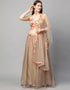 Designer Wedding Wear Heavy Net Lehenga Choli Collection Beige Net Lehenga Choli Front View