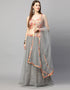Designer Wedding Wear Heavy Net Lehenga Choli Collection Grey Net Lehenga Choli Front View