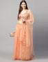 Designer Wedding Wear Heavy Net Lehenga Choli Collection Peach Net Lehenga Choli Back View