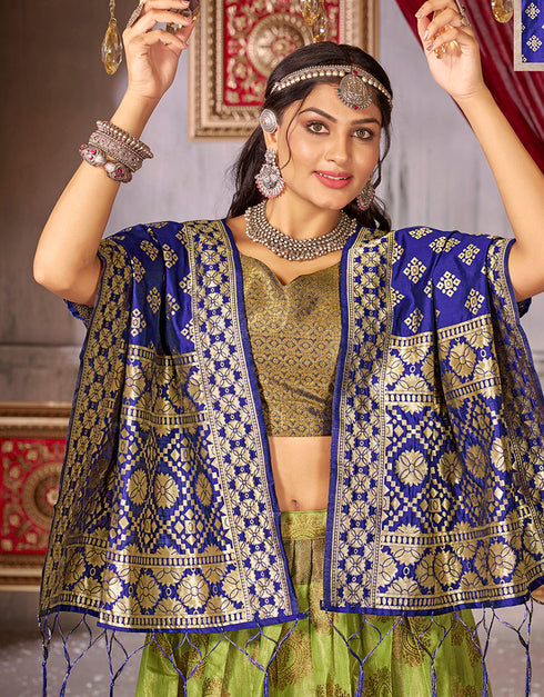 Traditional Function Wear Heavy Jacquard Silk Lehenga Choli Collection Multi Fancy Jaquard Silk Lehenga Choli Close-up View