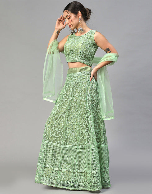 Designer Wedding Wear Heavy Net Lehenga Choli Collection Pista Nylon Net Lehenga Choli Back View