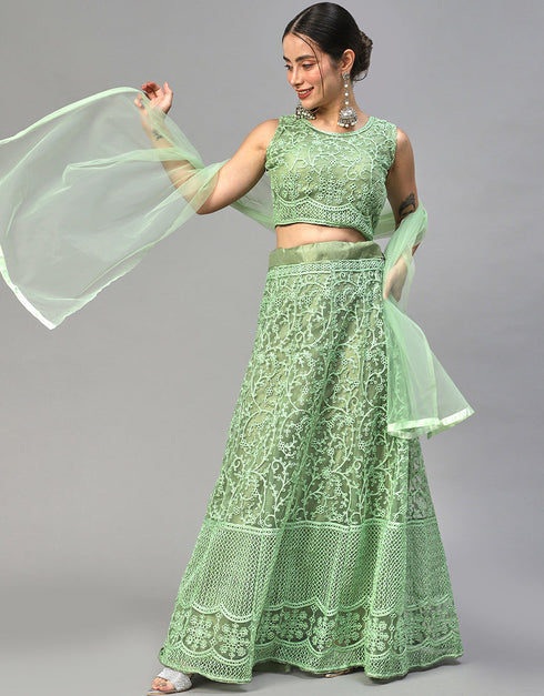 Designer Wedding Wear Heavy Net Lehenga Choli Collection Pista Nylon Net Lehenga Choli Front View