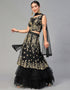 Designer Wedding Wear Heavy Net Lehenga Choli Collection Black Nylon Net Lehenga Choli Back View
