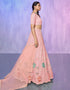Designer Wedding Wear Heavy Lehenga Choli Collection Peach Net Lehenga Choli Back View