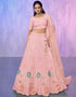 Designer Wedding Wear Heavy Lehenga Choli Collection Peach Net Lehenga Choli Front View