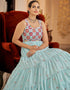 Traditional Function Wear Gown Collection Sky Blue Georgette Gown Back View