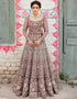 Traditional Function Wear Gown With Dupatta Collection Brown Heavy Butterfly Net Gown Front View