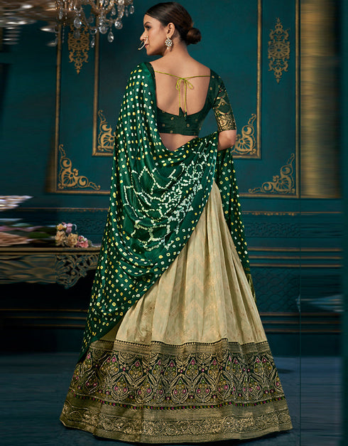 Traditional Designear Party Wear Dola Silk Lehenga Choli Collection Pista Dola Silk Lehenga Choli Close-up View