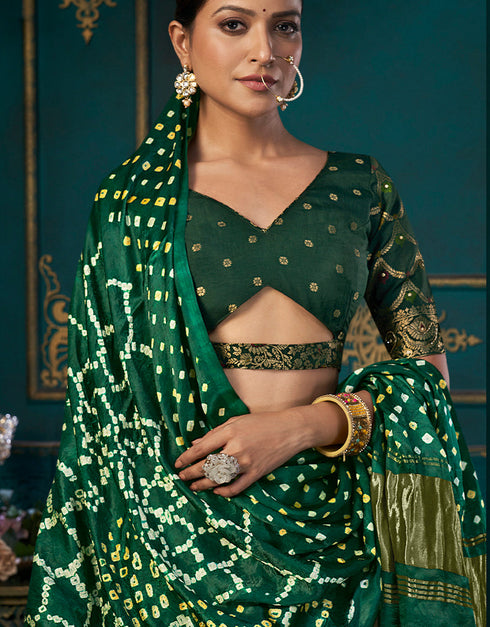 Traditional Designear Party Wear Dola Silk Lehenga Choli Collection Pista Dola Silk Lehenga Choli Back View