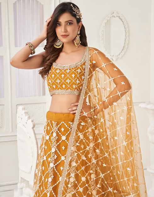 Traditional Designear Party Wear Heavy Butterfly Net Lehenga Choli Collection Brown Butterfly Net Lehenga Choli Front View
