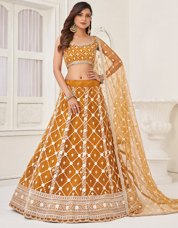 Traditional Designear Party Wear Heavy Butterfly Net Lehenga Choli Collection Brown Butterfly Net Lehenga Choli Front View