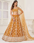 Traditional Designear Party Wear Heavy Butterfly Net Lehenga Choli Collection Brown Butterfly Net Lehenga Choli Front View