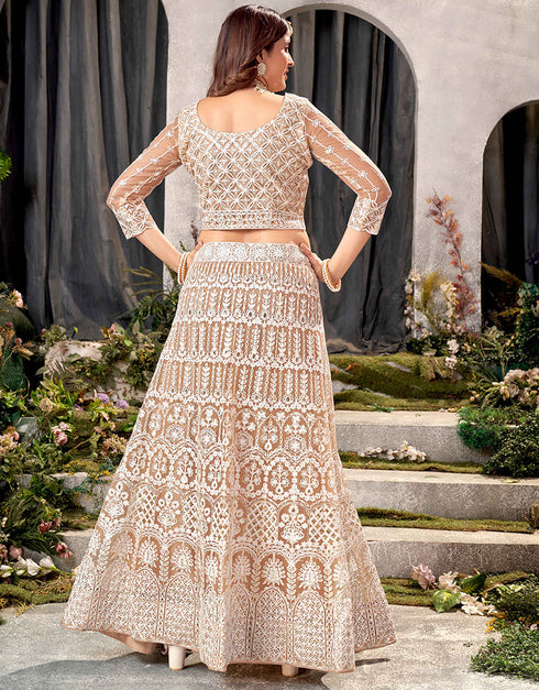 Traditional Designear Party Wear Heavy Net Lehenga Choli Collection Beige Net Lehenga Choli Back View