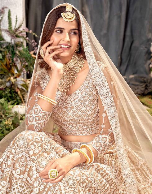 Traditional Designear Party Wear Heavy Net Lehenga Choli Collection Beige Net Lehenga Choli Front View