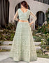 Traditional Designear Party Wear Heavy Net Lehenga Choli Collection Pista Net Lehenga Choli Back View