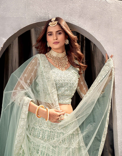 Traditional Designear Party Wear Heavy Net Lehenga Choli Collection Pista Net Lehenga Choli Front View