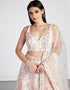 Designer Wedding Party Wear Heavy Lehenga Choli Collection Cream Net Lehenga Choli Front View