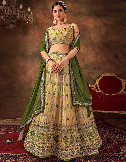 Designer Function Wear Heavy Lehenga Choli Collection Multi Organza Lehenga Choli Front View