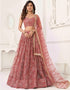 sleek pink butterfly net traditional wear women's heavy lehenga choli collection with pink butterfly net rt8887-184657 Front View