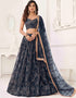 modern navy blue butterfly net traditional wear women's heavy lehenga choli collection with navy blue butterfly net rt8887-184658 Front View