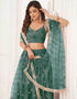 sophisticated green butterfly net traditional wear women's heavy lehenga choli collection with green butterfly net rt8887-184659 Front View
