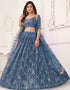 glamorous blue butterfly net traditional wear women's heavy lehenga choli collection with blue butterfly net rt8887-184660 Close-up View