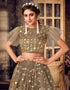 sophisticated dark beige soft net traditional wear women's heavy lehenga choli collection with dark beige soft net rt8910-184765 Back View