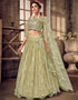 glamorous pista soft net traditional wear women's heavy lehenga choli collection with pista soft net rt8910-184766 Close-up View