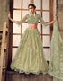 glamorous pista soft net traditional wear women's heavy lehenga choli collection with pista soft net rt8910-184766 Front View