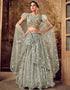 classy grey soft net traditional wear women's heavy lehenga choli collection with grey soft net rt8910-184768 Front View