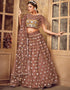 stylish brown soft net traditional wear women's heavy lehenga choli collection with brown soft net rt8910-184769 Close-up View