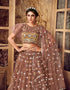 stylish brown soft net traditional wear women's heavy lehenga choli collection with brown soft net rt8910-184769 Back View