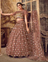 stylish brown soft net traditional wear women's heavy lehenga choli collection with brown soft net rt8910-184769 Front View