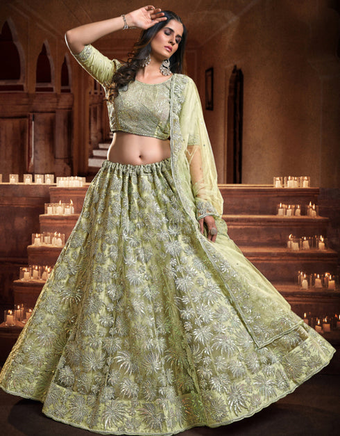 stylish pista soft net traditional wear women's heavy lehenga choli collection with pista soft net rt8964-185032 Close-up View