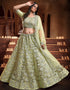 stylish pista soft net traditional wear women's heavy lehenga choli collection with pista soft net rt8964-185032 Close-up View