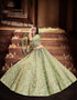 stylish pista soft net traditional wear women's heavy lehenga choli collection with pista soft net rt8964-185032 Back View