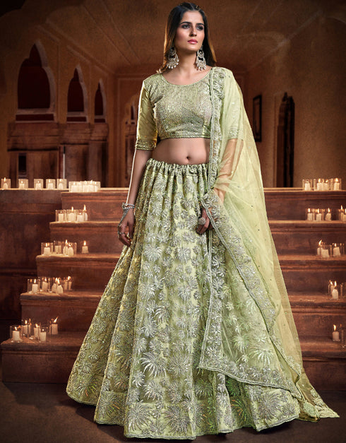stylish pista soft net traditional wear women's heavy lehenga choli collection with pista soft net rt8964-185032 Front View