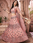 sleek light peach soft net traditional wear women's heavy lehenga choli collection with light peach soft net rt8965-185037 Close-up View