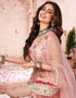 sleek light peach soft net traditional wear women's heavy lehenga choli collection with light peach soft net rt8965-185037 Front View