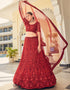 Cocktail Designer Net Lehenga Choli Persian Red Soft Net Lehenga Choli Back View